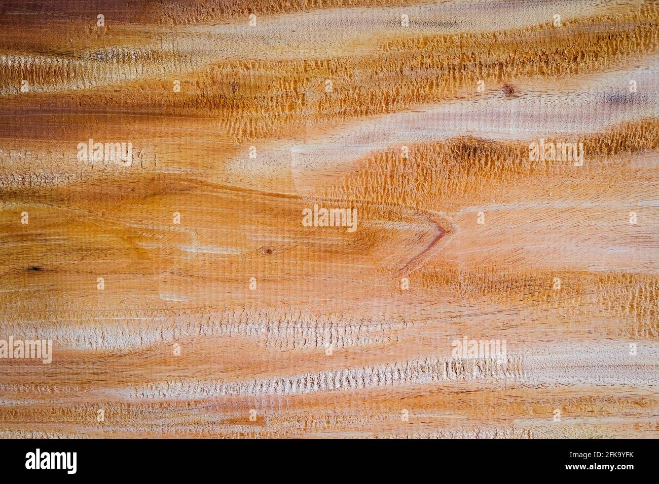 Nahaufnahme große Hartholz-Planke mit Detail, Textur und Muster der Haut Holz Natur Hintergrund Stockfoto