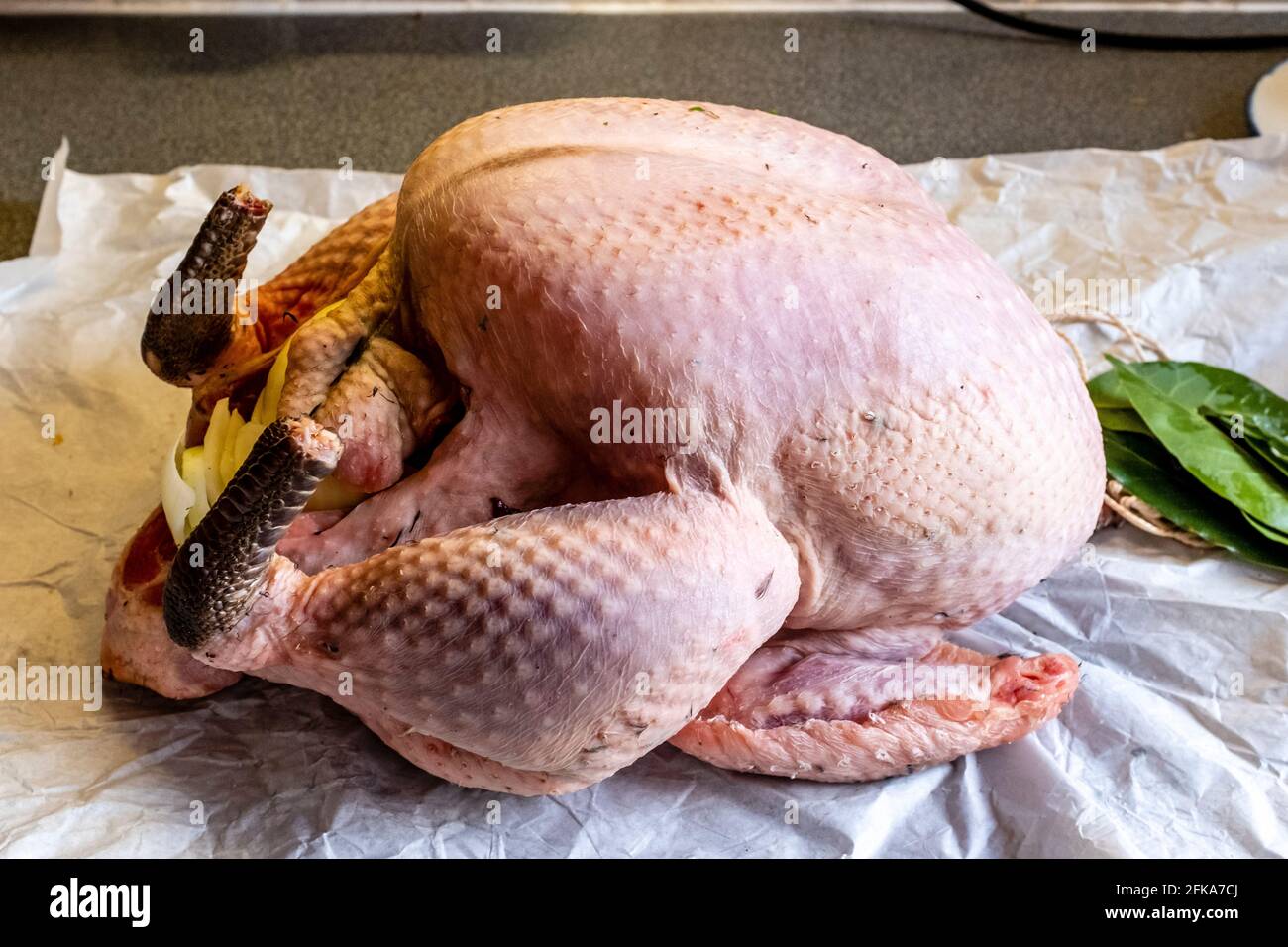 A Free Range Christmas Turkey, Sussex, Großbritannien. Stockfoto