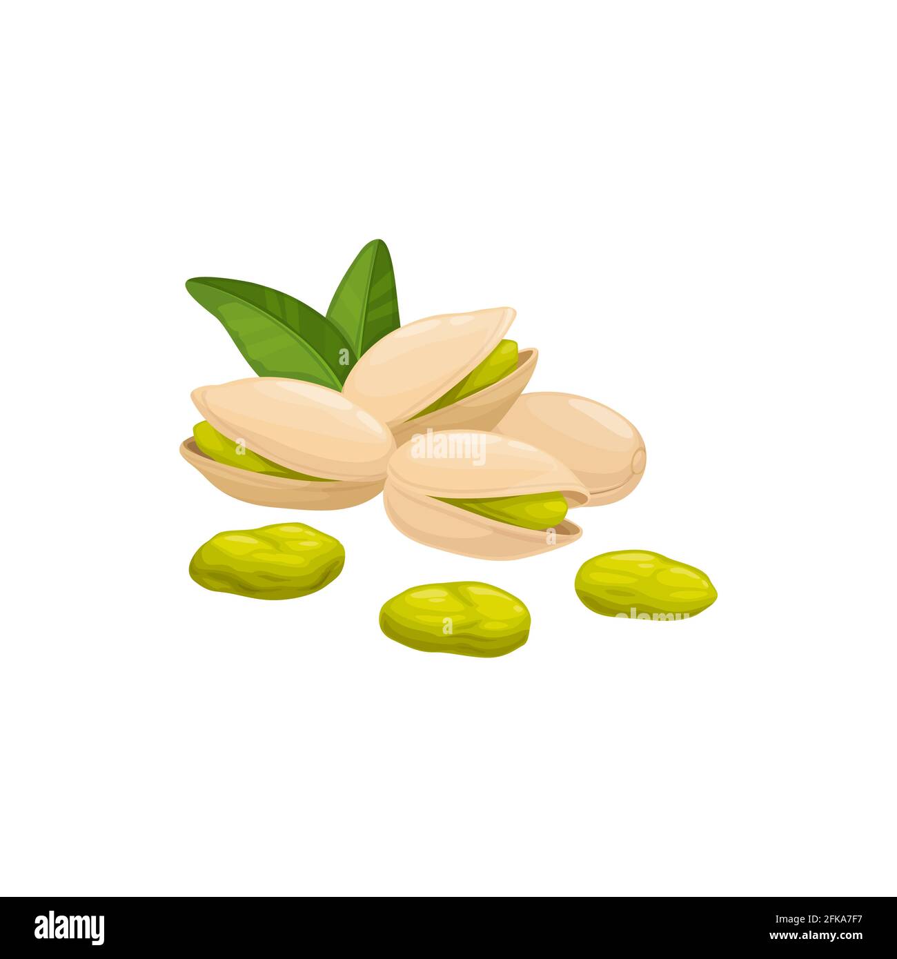 Pistazien-Nuss in Schale isoliert Lebensmittel Snack geschält und ungeschält, grüne Blätter. Vector vegetarische natürlich geröstete Pistazie oder Pistazie mit grünem Samen. Stock Vektor