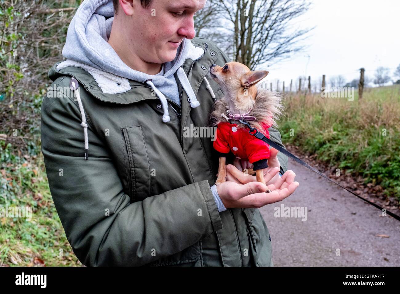 Ein junger Mann mit EINEM Chihuahua-Hund, Sussex, Großbritannien. Stockfoto