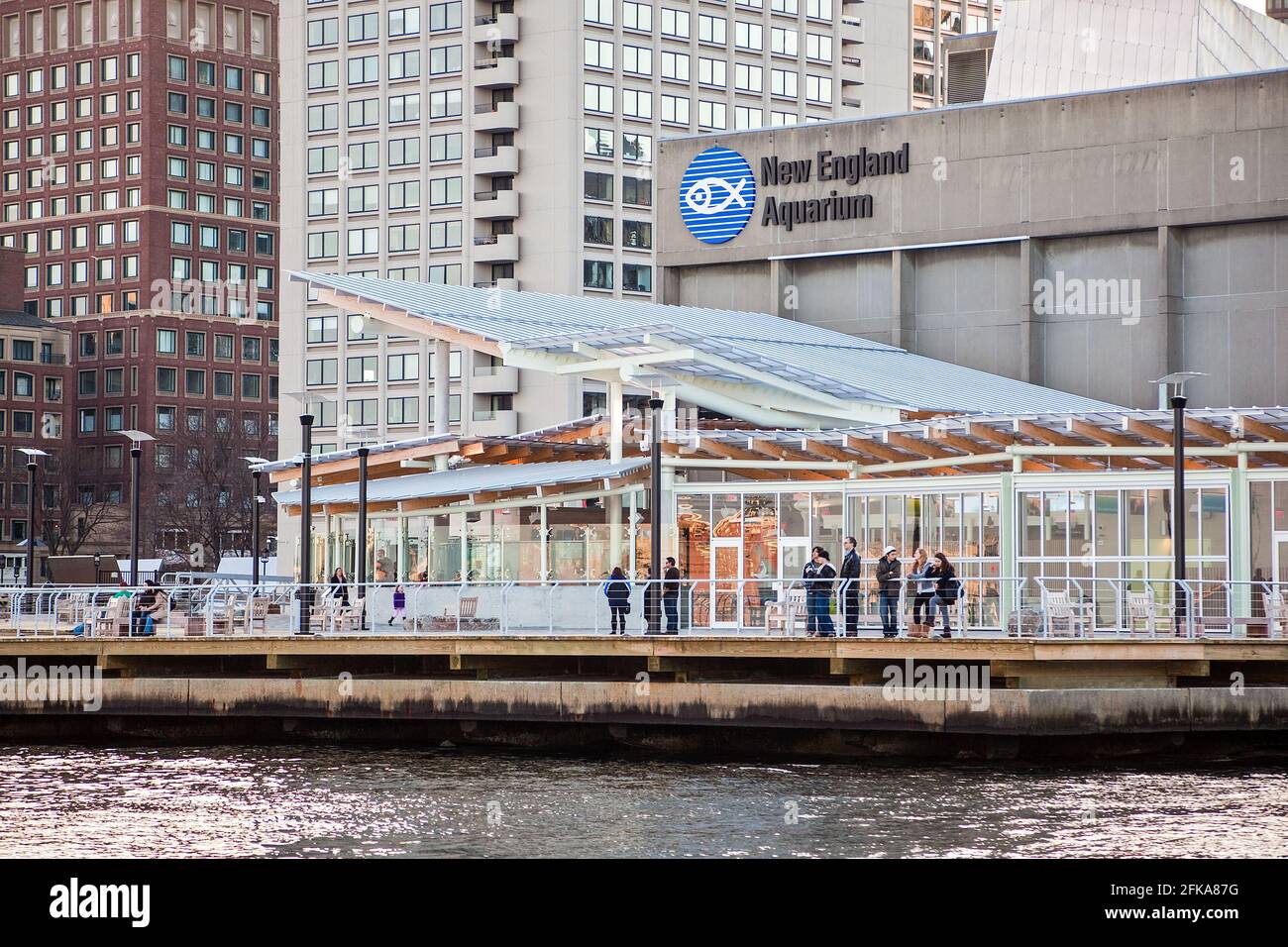 Das New England Aquarium ist ein öffentliches Aquarium in Boston, Massachusetts Stockfoto