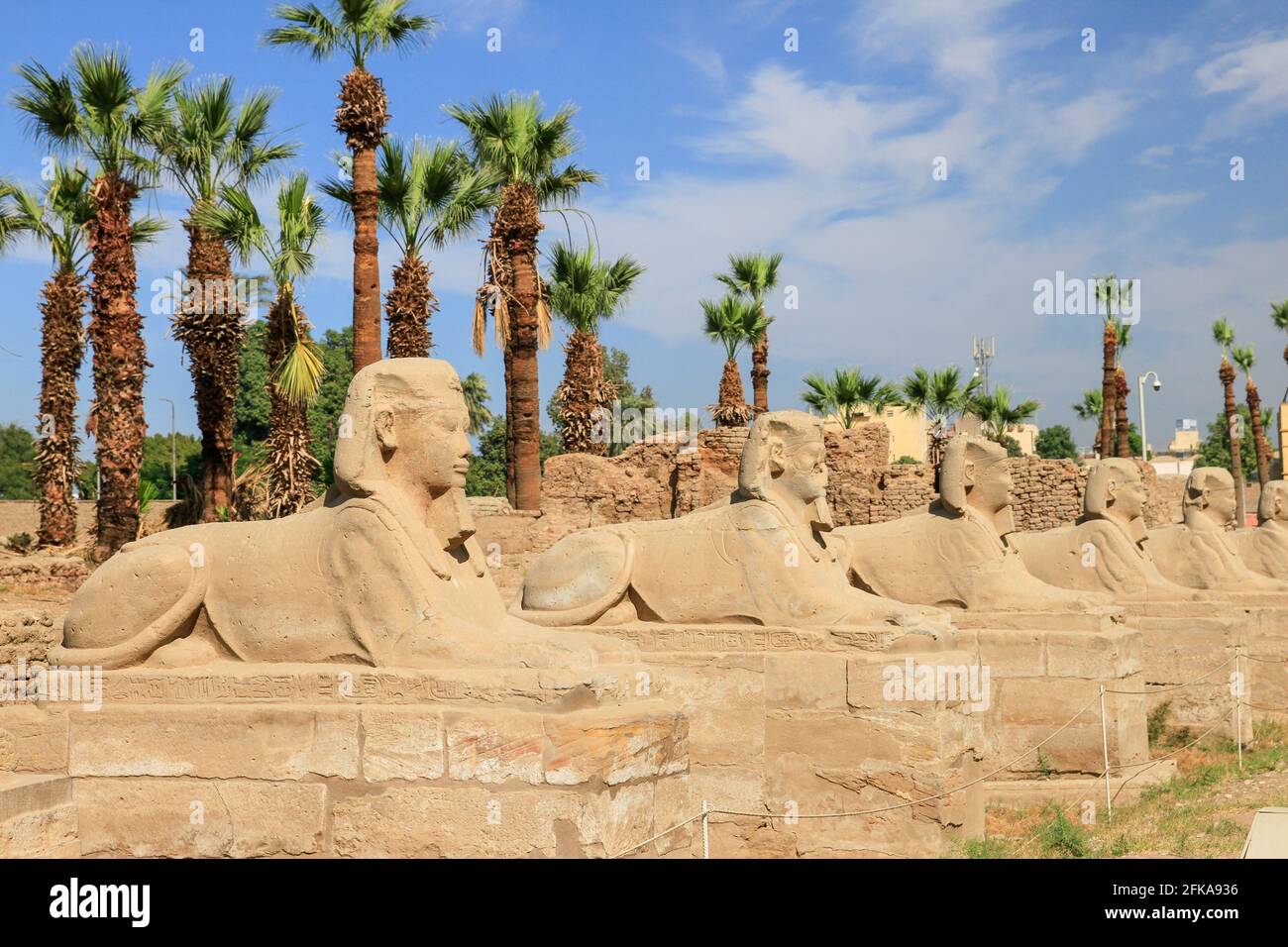 Luxor-Dromos oder Reihe von Sphinx-Statuen im Karnak-Tempel, Luxor, Ägypten Stockfoto