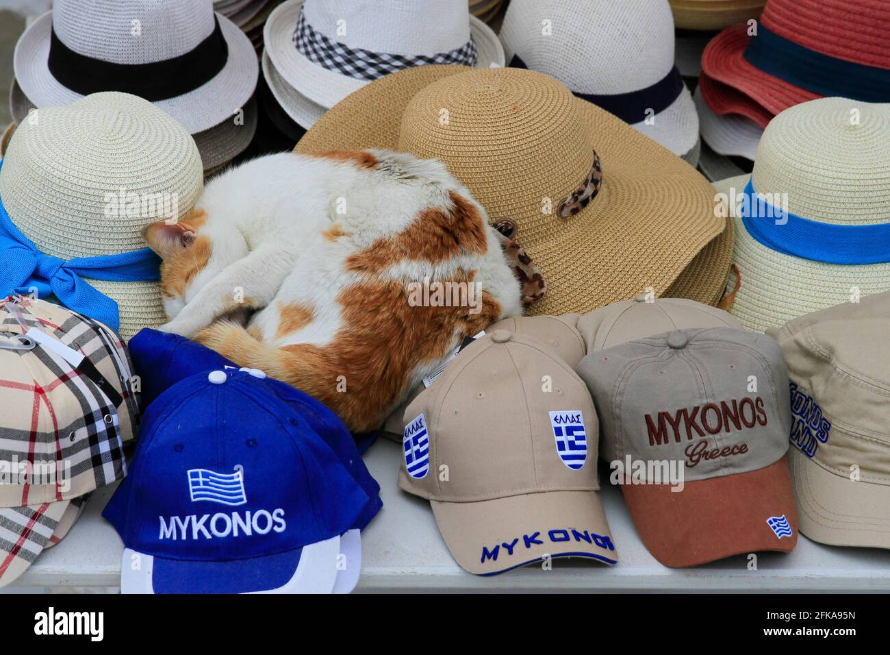 Schlafende Katze unter Souvenir-Hüten auf dem Markt, Mykonos, Griechenland Stockfoto