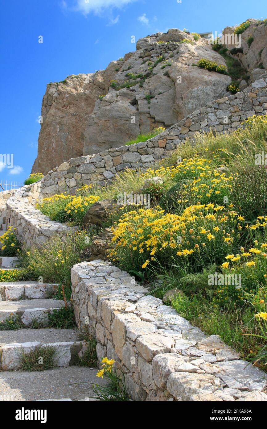 Steintreppe, die zum antiken Thera auf dem Messavouno Berg mit Frühlingsblumen führt, Santorini, Griechenland Stockfoto