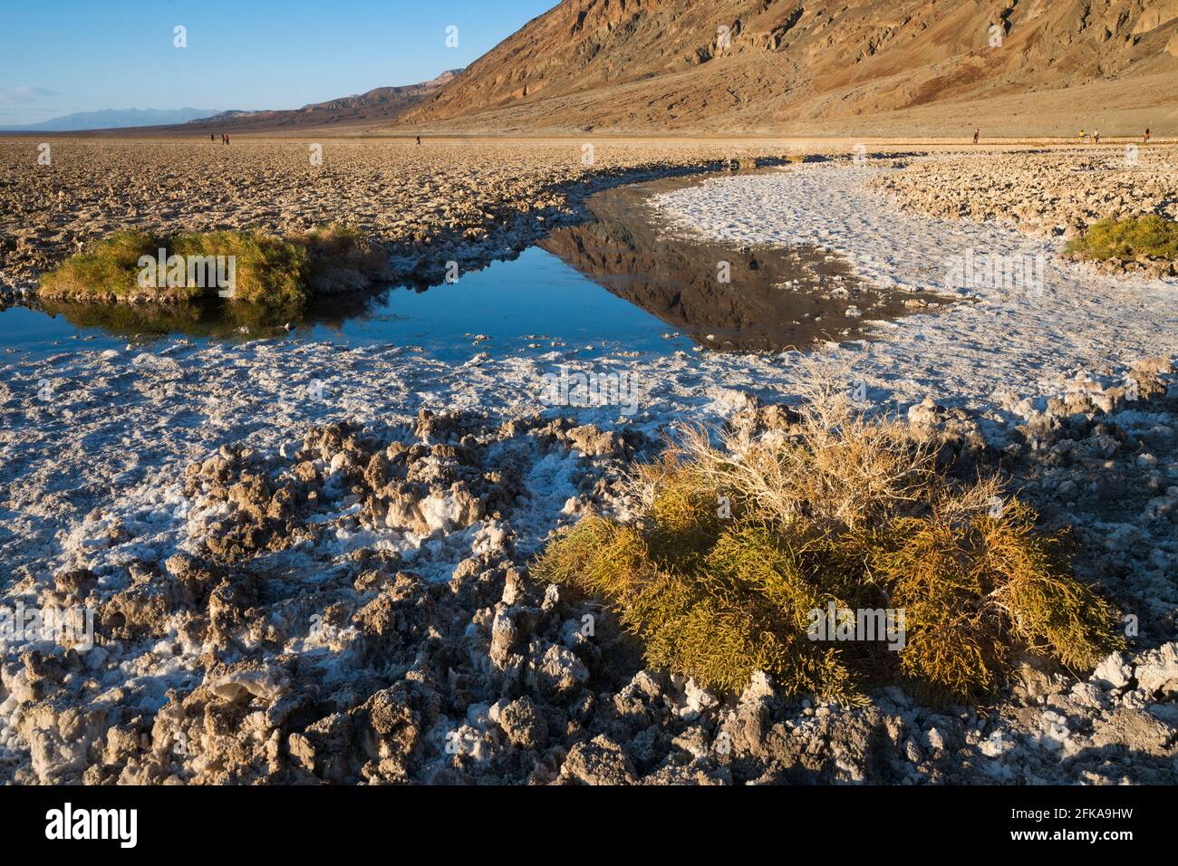 Badwater Basin, Death Valley National Park, Kalifornien. Ikonische kalkweiße Salzebenen, die sich 282 m unter dem Meeresspiegel befinden. Stockfoto