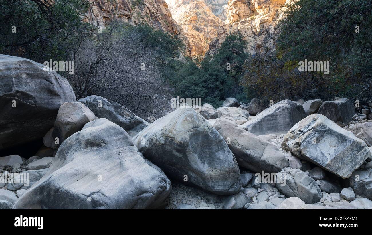 Ice Box Canyon Trail, Red Rock Canyon National Conservation Area, Nevada Stockfoto