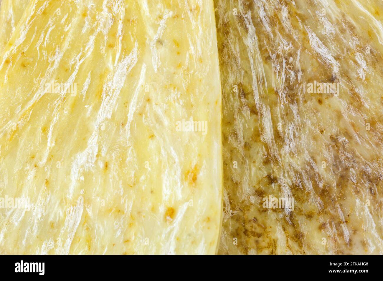 Closeup-Textur von getrocknetem Dong Quai, Dang GUI, bekannt als weiblicher Ginseng, abgeflachte Wurzel (Angelica sinensis) Stockfoto