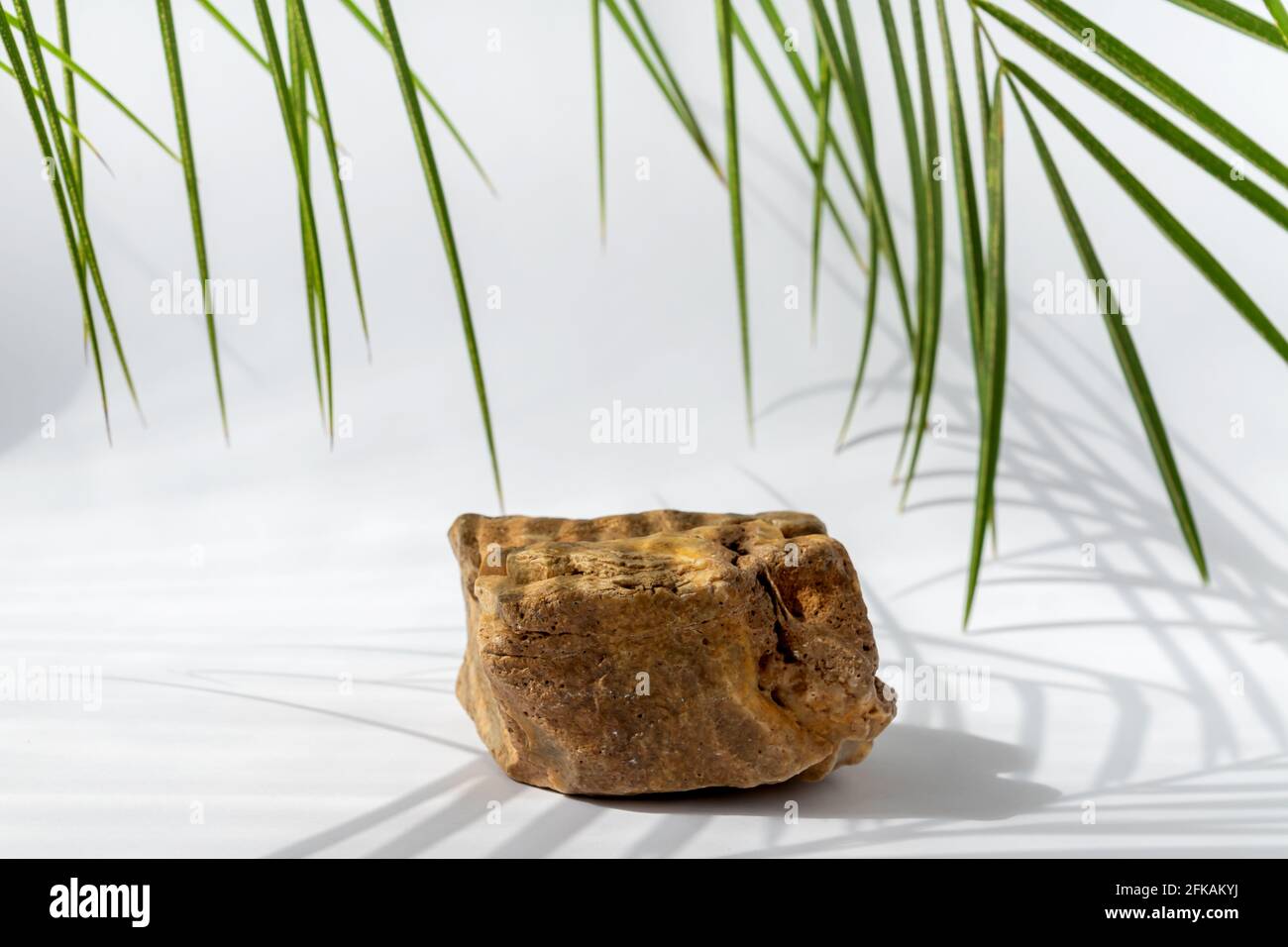 Luxuriöses Podium aus Naturstein mit grünem Palmenblatt mit hellen Schatten zur Darstellung von Verpackungen und Produkten auf weißer Farbe. Stockfoto