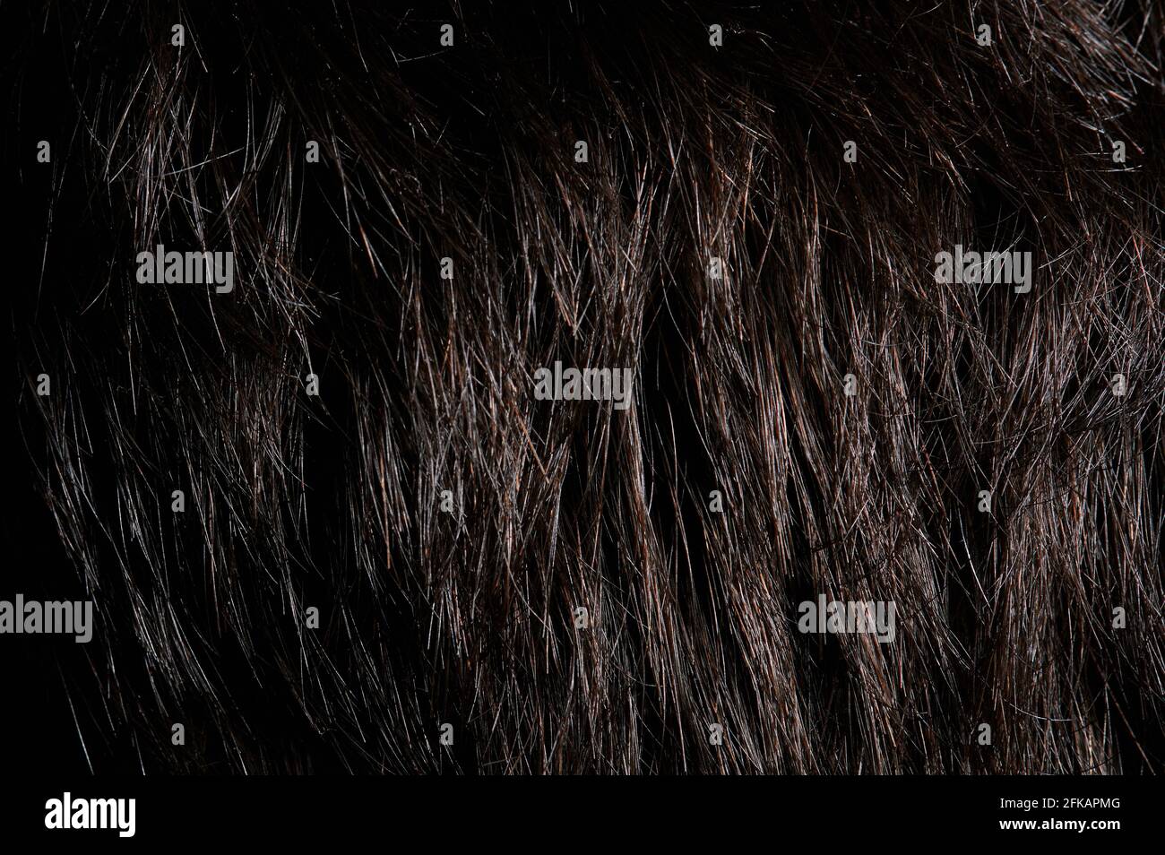 Nahaufnahme des Makrohintergrunds mit dunklen Haaren reinigen Stockfoto