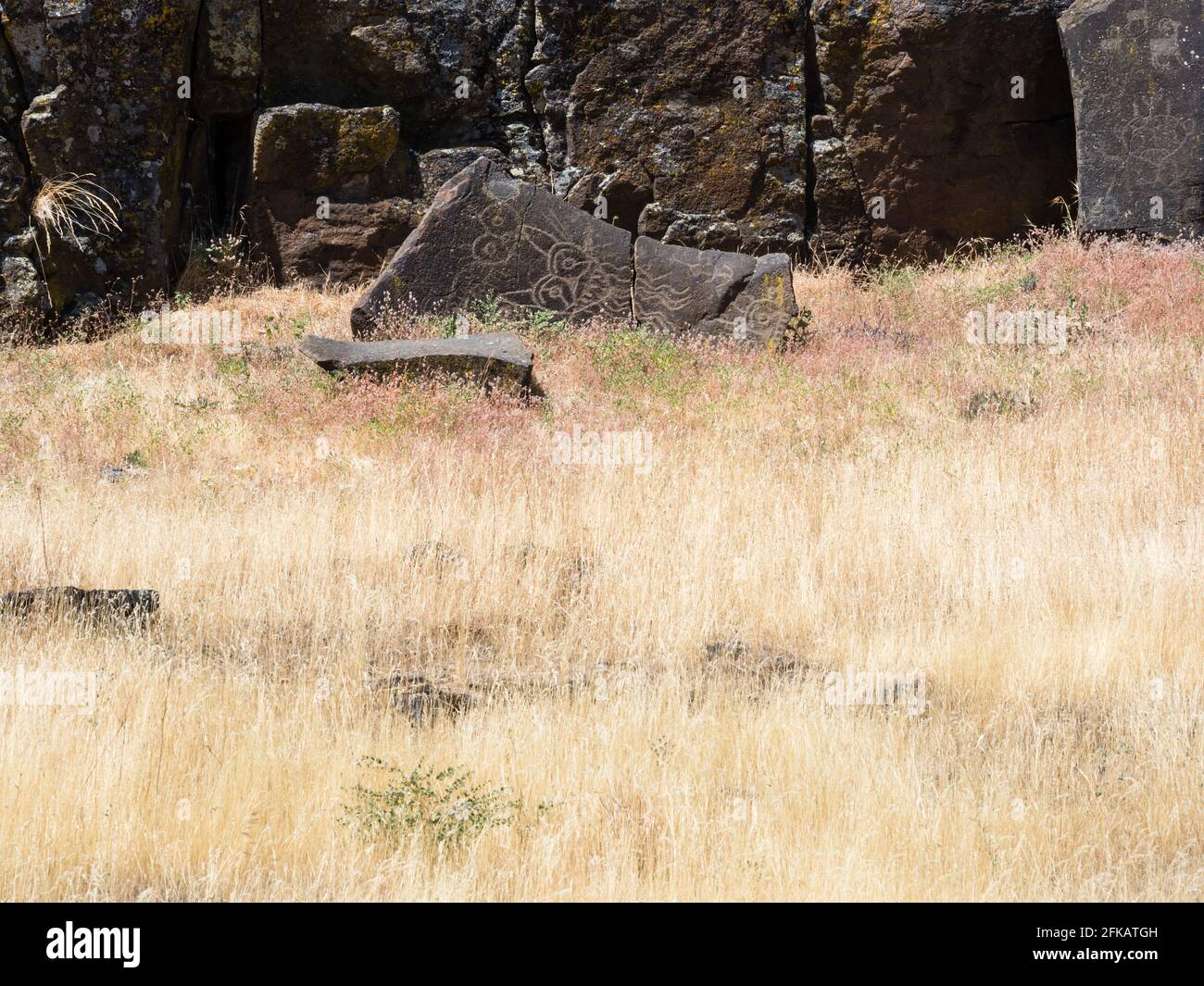 Uralte indianische Felszeichnungen im Columbia Hills State Park, WA, USA Stockfoto