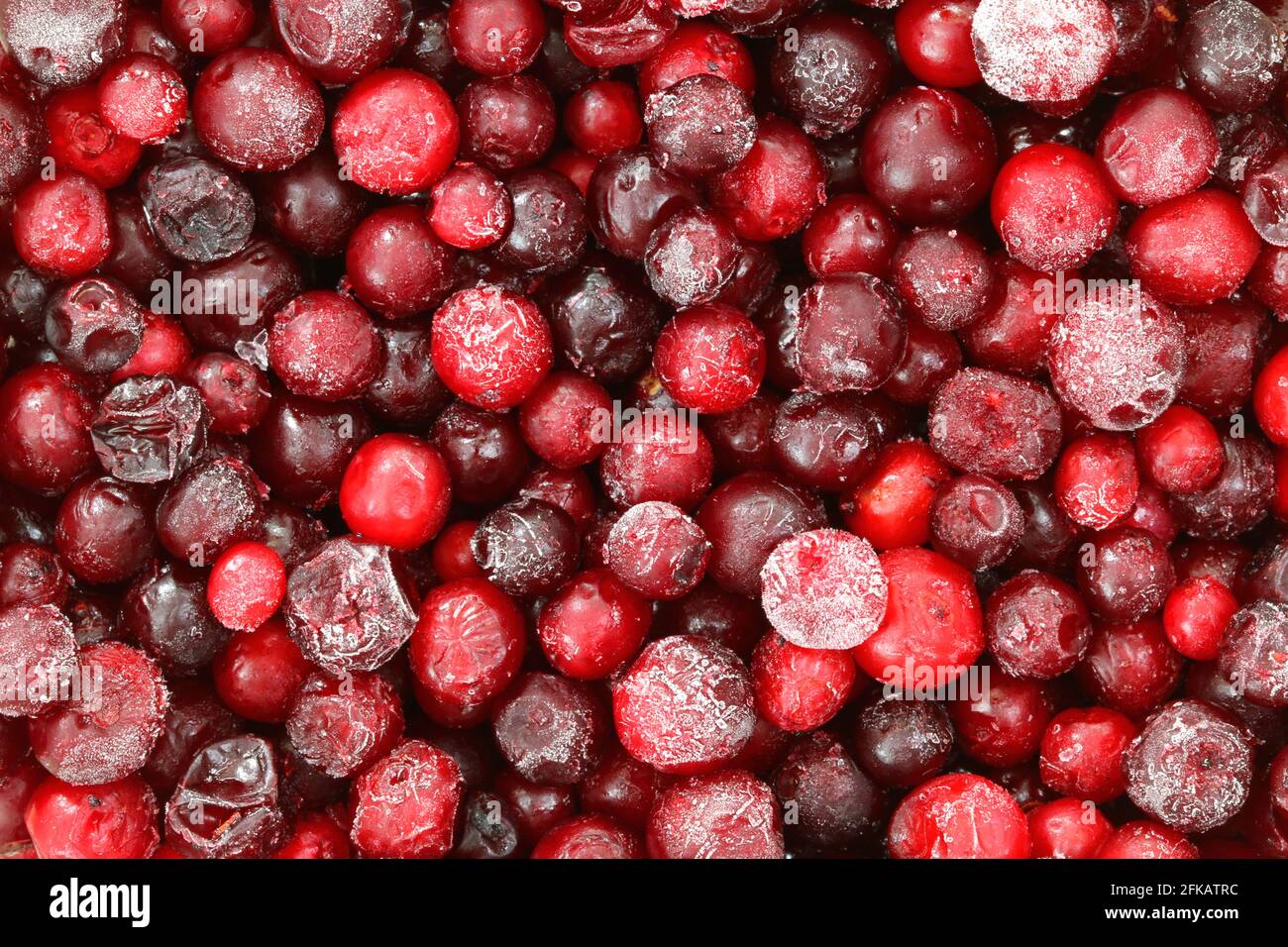 Nahaufnahme von gefrorenen Preiselbeeren Stockfoto