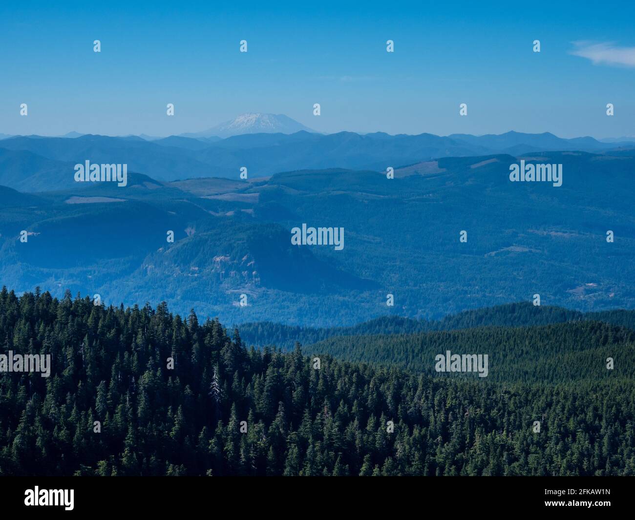 Blick auf den Mount St. Helens vom Sherrard Point auf Lärche Mountain - Columbia River Gorge, Oregon Stockfoto