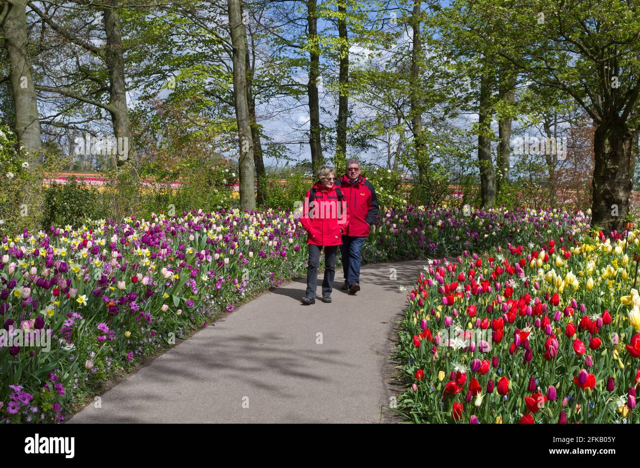 Keukenhof Gardens, Lisse, Niederlande; Paar in passenden roten Anoraks, die durch farbenfrohe Blumenbeete spazieren Stockfoto