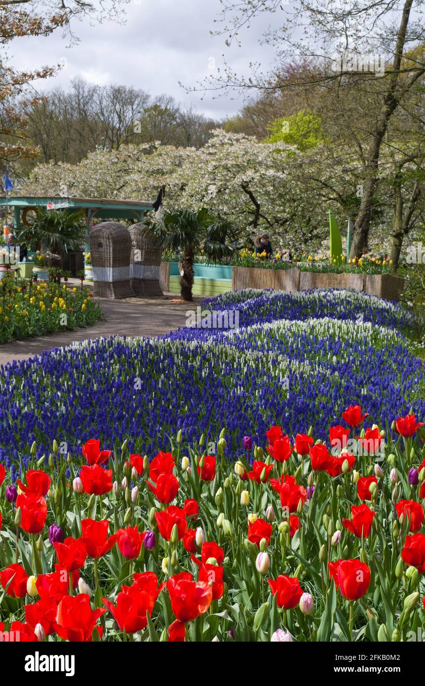 Keukenhof Gardens, Lisse, Niederlande; farbenfrohe Blumenbeete Stockfoto