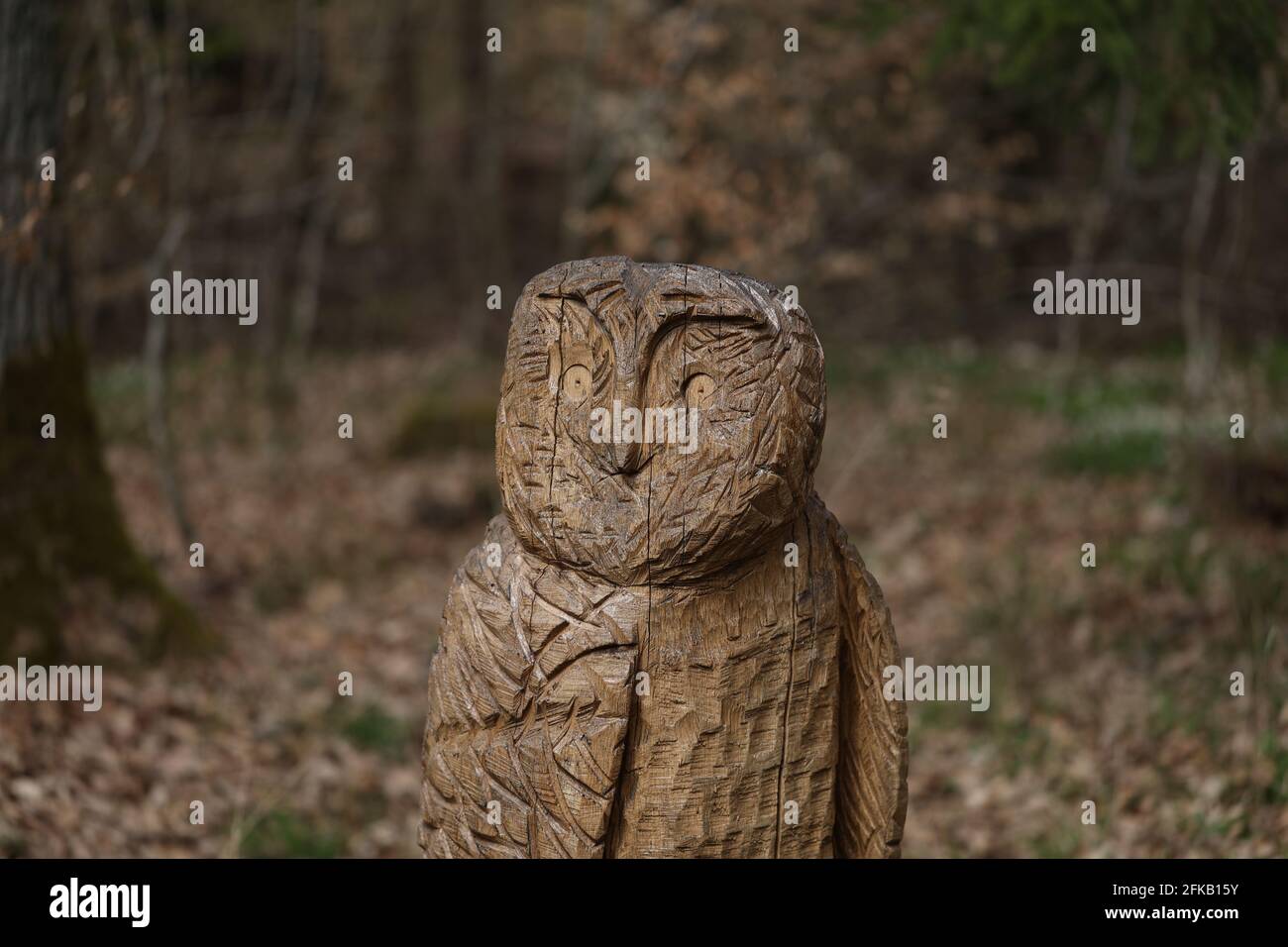 Eine Eule, die von einem Baum geschnitten wurde, steht im Wald. Stockfoto