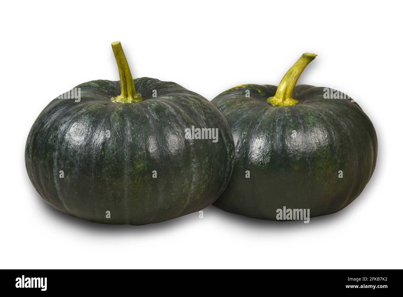 Grüner Kürbis Gemüse frisch und weißer Hintergrund. Stockfoto