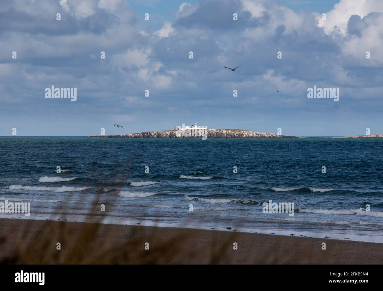 Die Inner Farne aus dem Norden von Seahouses Stockfoto