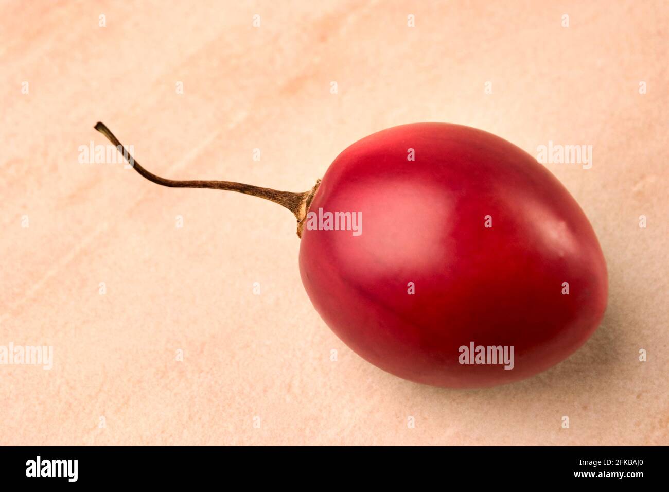 Baumtomate, Tamarillo, Tomate de árbol (Cyphomandra betacea, Cyphomandra crassicaulis), einzelne Frucht auf einem Holztisch Stockfoto