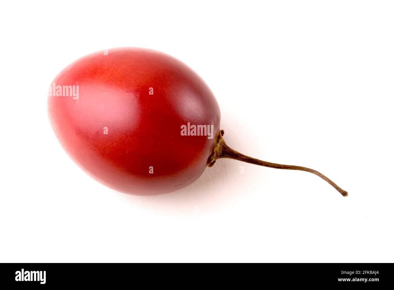 Baumtomate, Tamarillo, Tomate de árbol (Cyphomandra betacea, Cyphomandra crassicaulis), einzelne Frucht, Ausschnitt Stockfoto