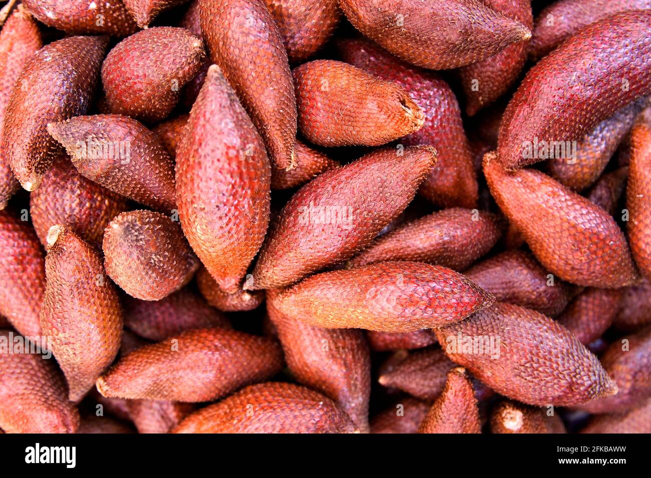 Schlangenpalme, Salapalme, Salak (Salacca zalacca, Salacca edulis), thailändische Salakfrüchte Stockfoto