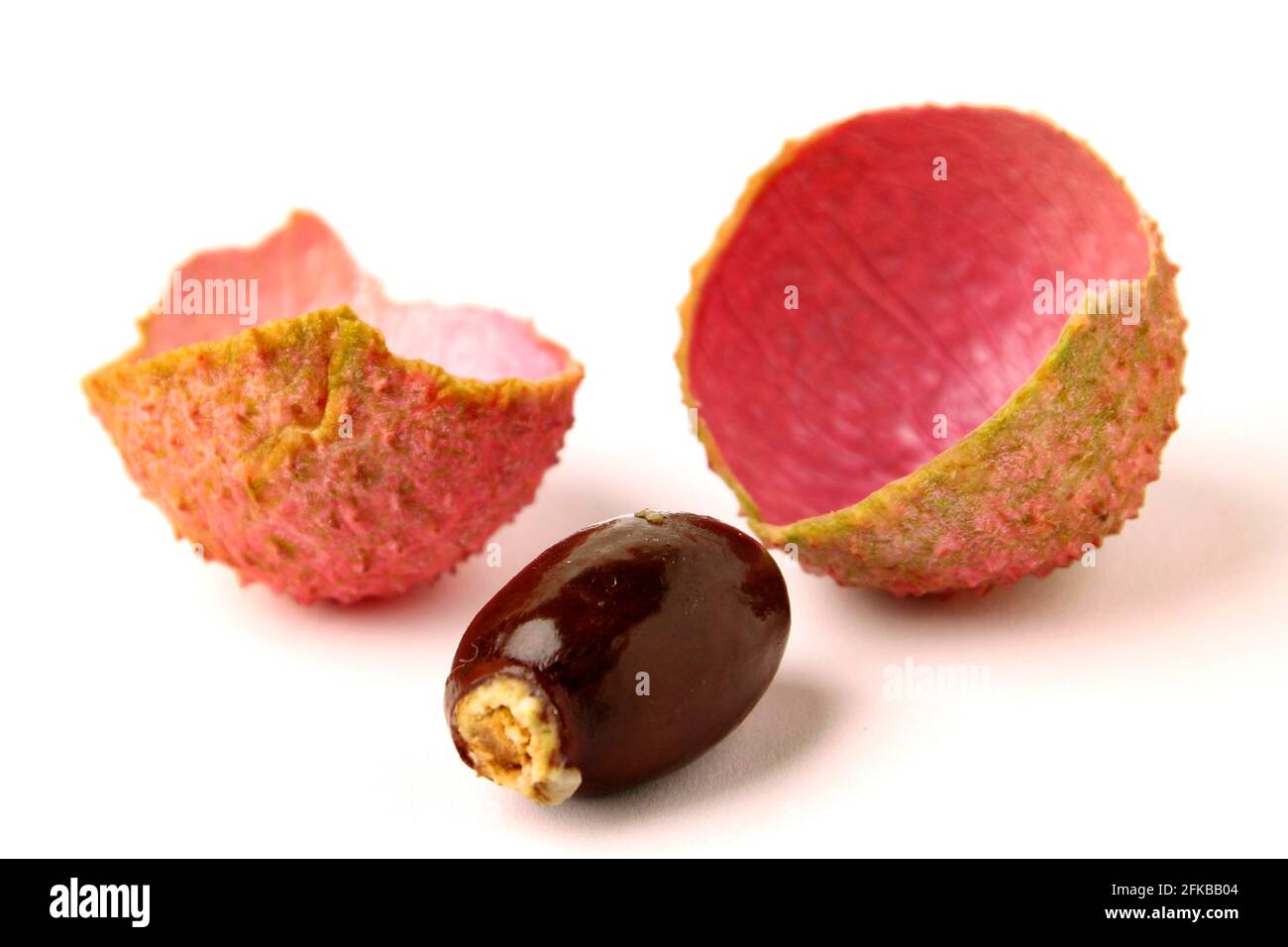 Litchi (Litchi chinensis), Haut mit Samen Stockfoto