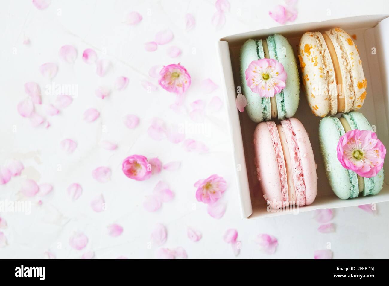 Wunderschöne feminine Komposition mit einer Schachtel französischer Makronen-Süßigkeiten in Pastellfarben und zartrosa Blütenblüten auf Stuckhintergrund. 8. märz Frauentag, Stockfoto