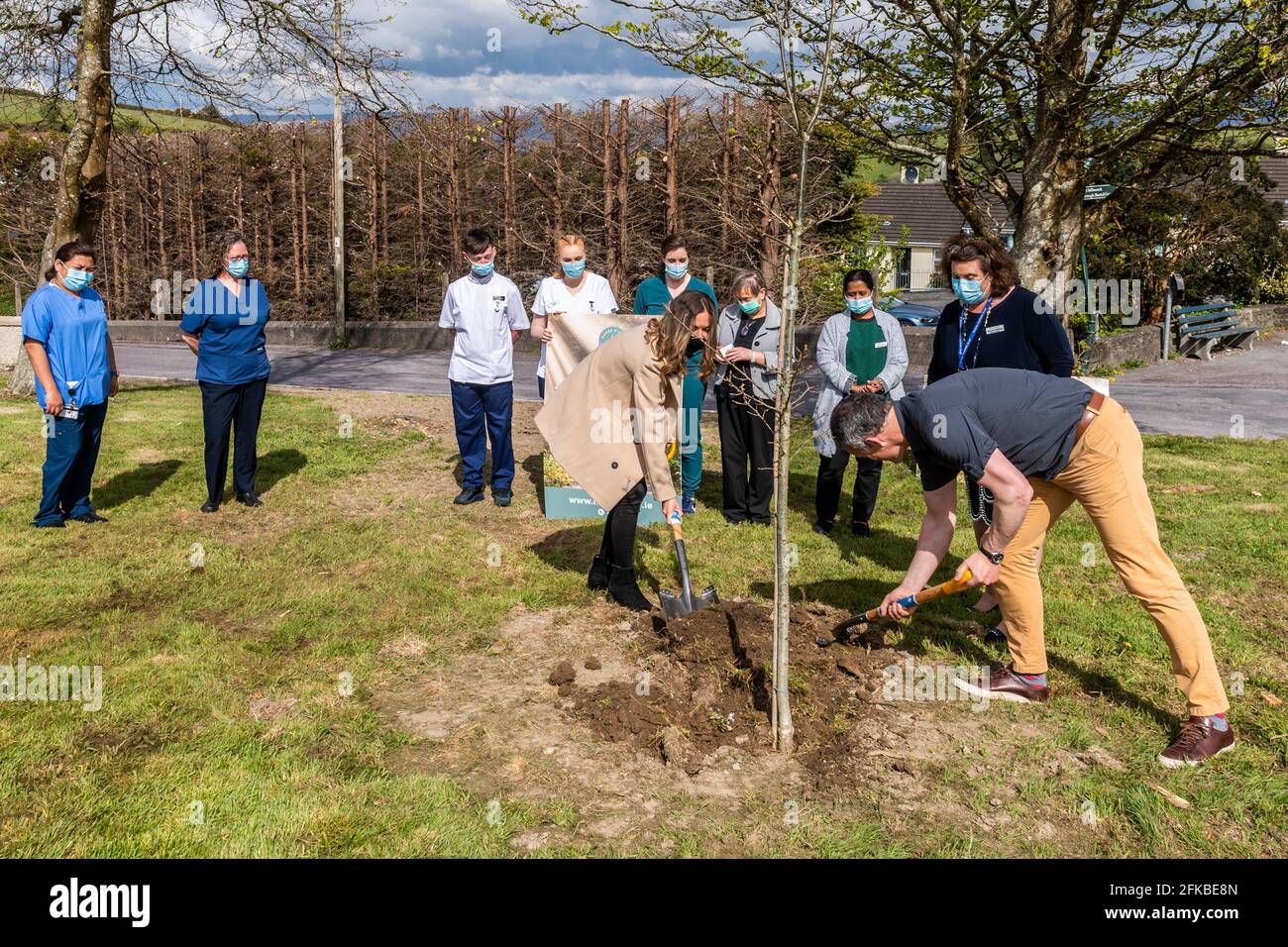 Bantry, West Cork, Irland. April 2021. Holly Cairns TD pflanzte heute im Bantry General Hospital im Rahmen der Initiative „Nurse a Tree“ eine Birke und Eiche. Krankenschwester A Tree plant, einen Baum für jeden Mitarbeiter im Gesundheitswesen in Irland zu Pflanzen, der 80,000 beträgt, als lebendiges Erbe. Maurice Ryan, Direktor von Green Belt LTD und Krankenschwestern des Bantry Hospital, unterstützt Holly beim Pflanzen einer Eiche. Quelle: AG News/Alamy Live News Stockfoto