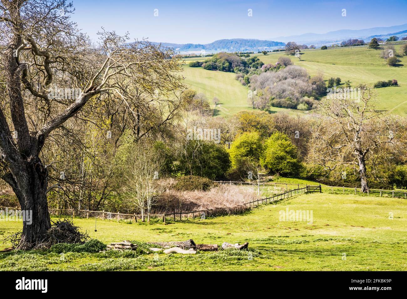 Frühlingsblick über die hügelige Landschaft in den Worcestershire Cotswolds. Stockfoto