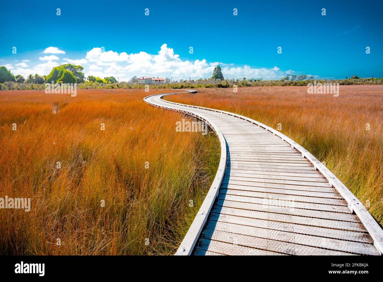 Okarito Board Walk Neuseeland Stockfoto