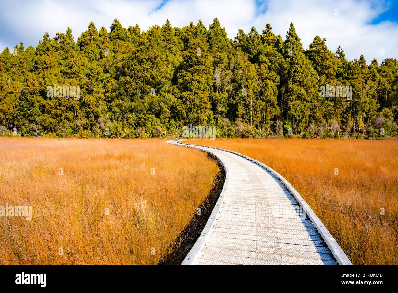 Okarito Board Walk Neuseeland Stockfoto