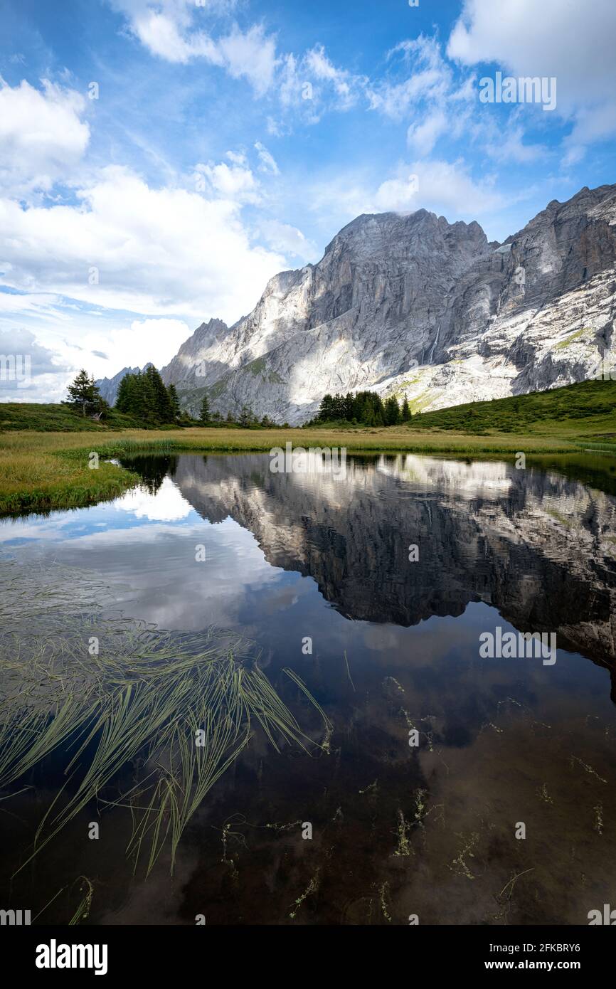 Der felsige Gipfel des Wellhorn-Berges spiegelt sich im Sommer im Wasser, Grosse Scheidegg, Berner Alpen, Kanton Bern, Schweiz, Europa Stockfoto