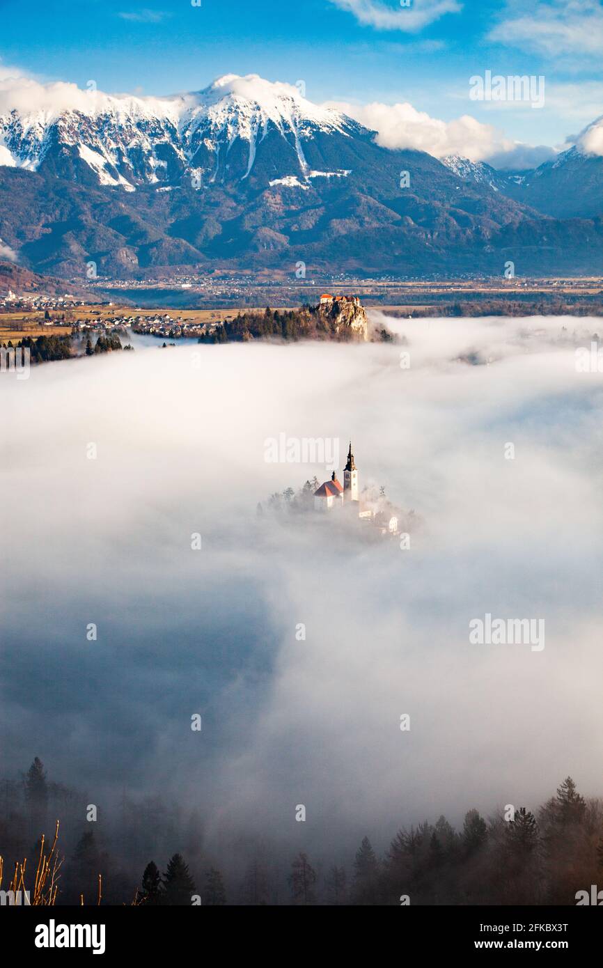 Bleder See in den Julischen Alpen der Region Oberkrain, Nordwestslowenien, Europa Stockfoto