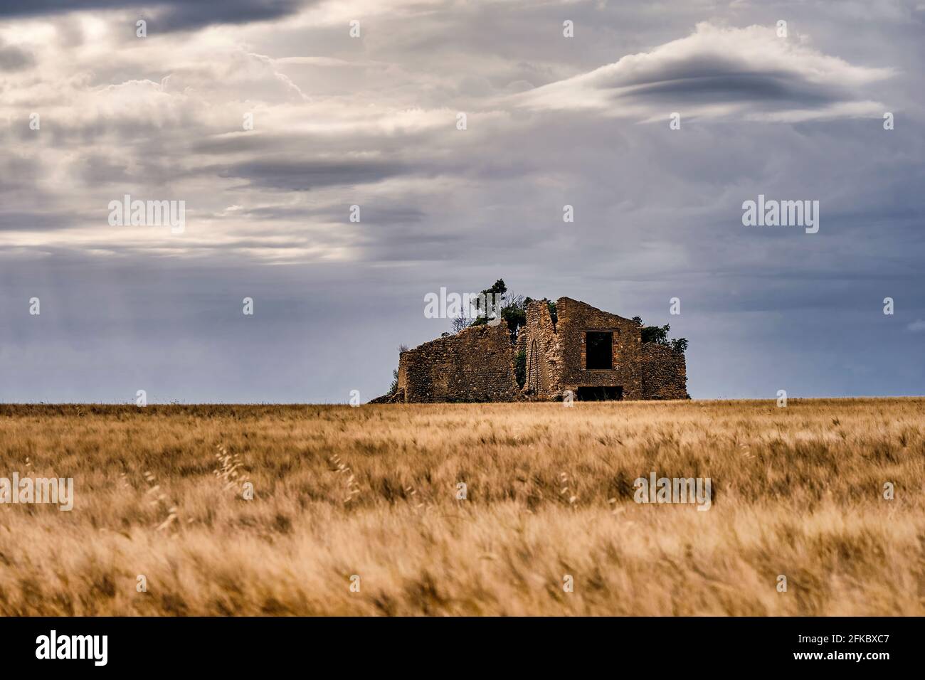 Ruinen in einem Weizenfeld mit bewölktem Himmel, Valensole, Provence, Frankreich, Europa Stockfoto