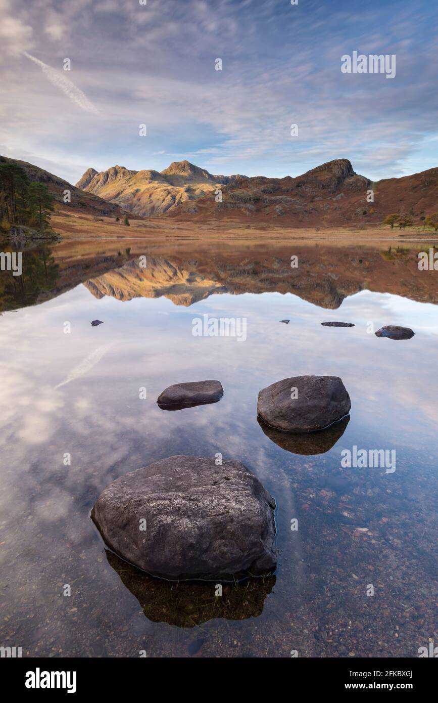 Die Langdale Pikes Berge spiegeln sich im spiegelbildlich stillen Wasser von Blea Tarn im Herbst, Lake District National Park, UNESCO, Cumbria, England Stockfoto