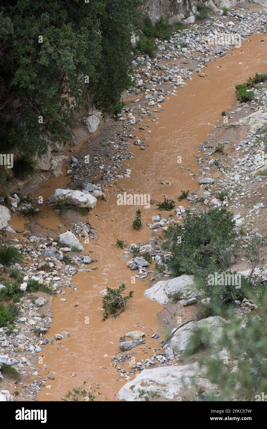 Fließendes schlammiges Wasser nach sintflutartigen Regenfällen streamen. Andalusien, Spanien. Stockfoto