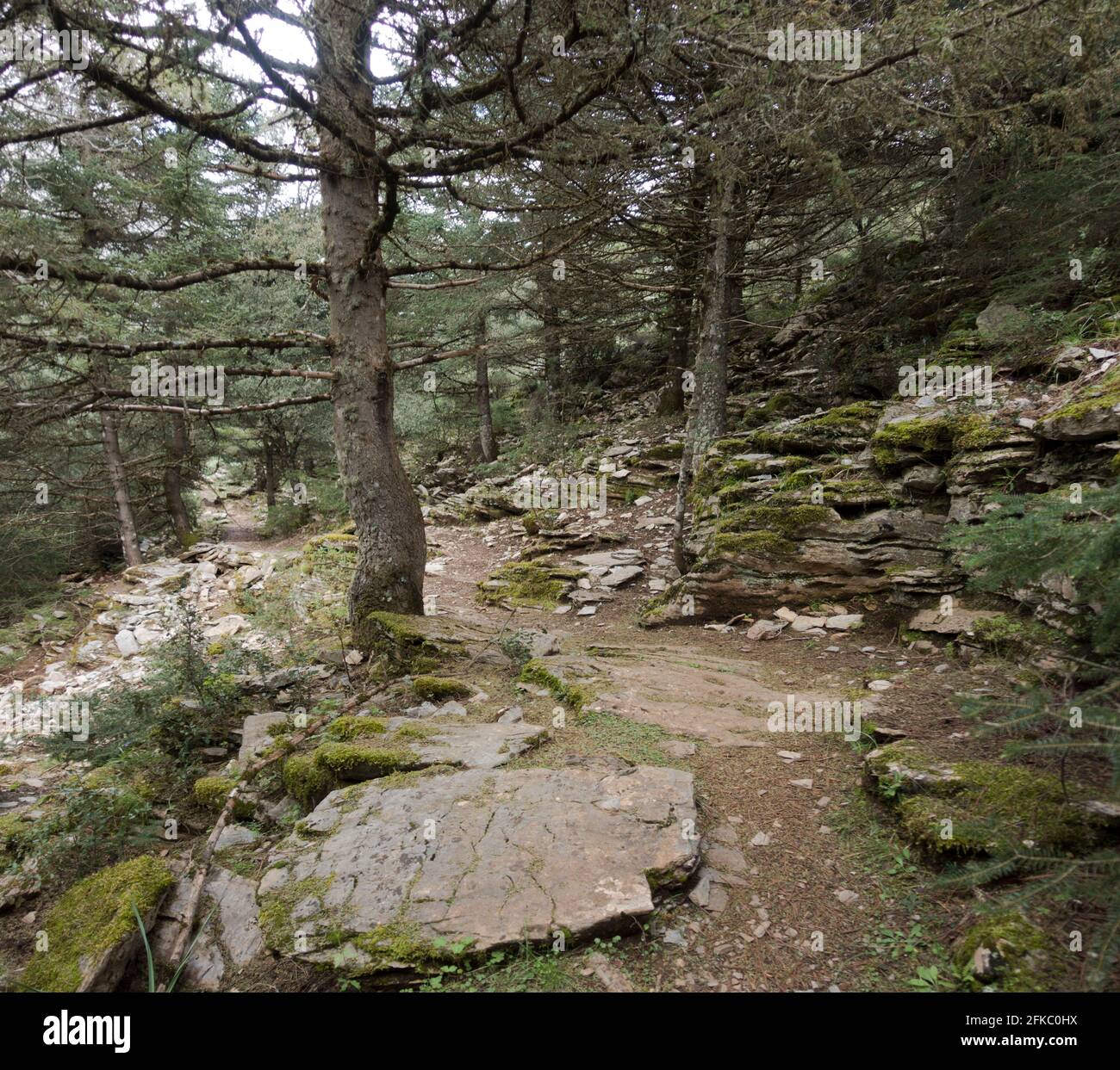 Cordillera de la sierra de las nieves Fotos und Bildmaterial in hoher