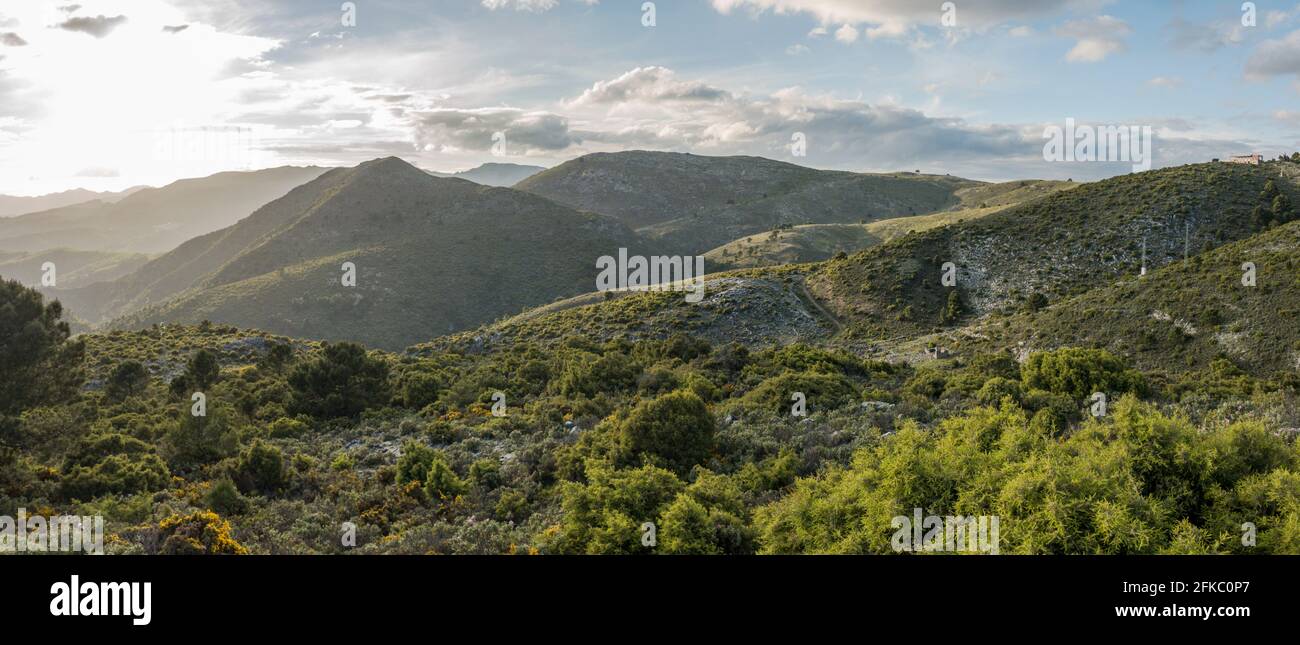 Sierrania de Ronda, Hochkalkgebirge, Andalusien, Malaga, Südspanien. Stockfoto