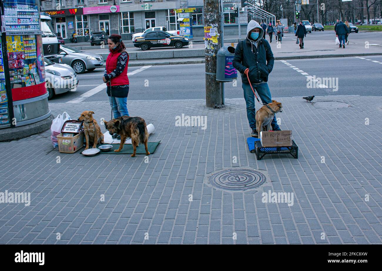 Dnepropetrovsk, Ukraine - 09.04.2021: Freiwillige sammeln Geld für Tierfutter. Stockfoto