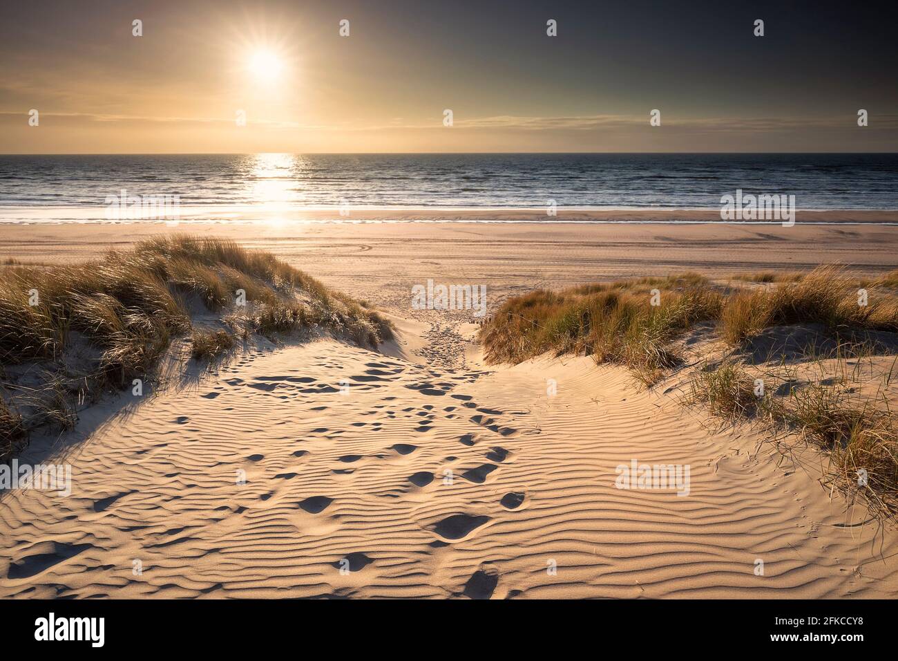 Weg zwischen Dünen zum Strand, Holland Stockfoto