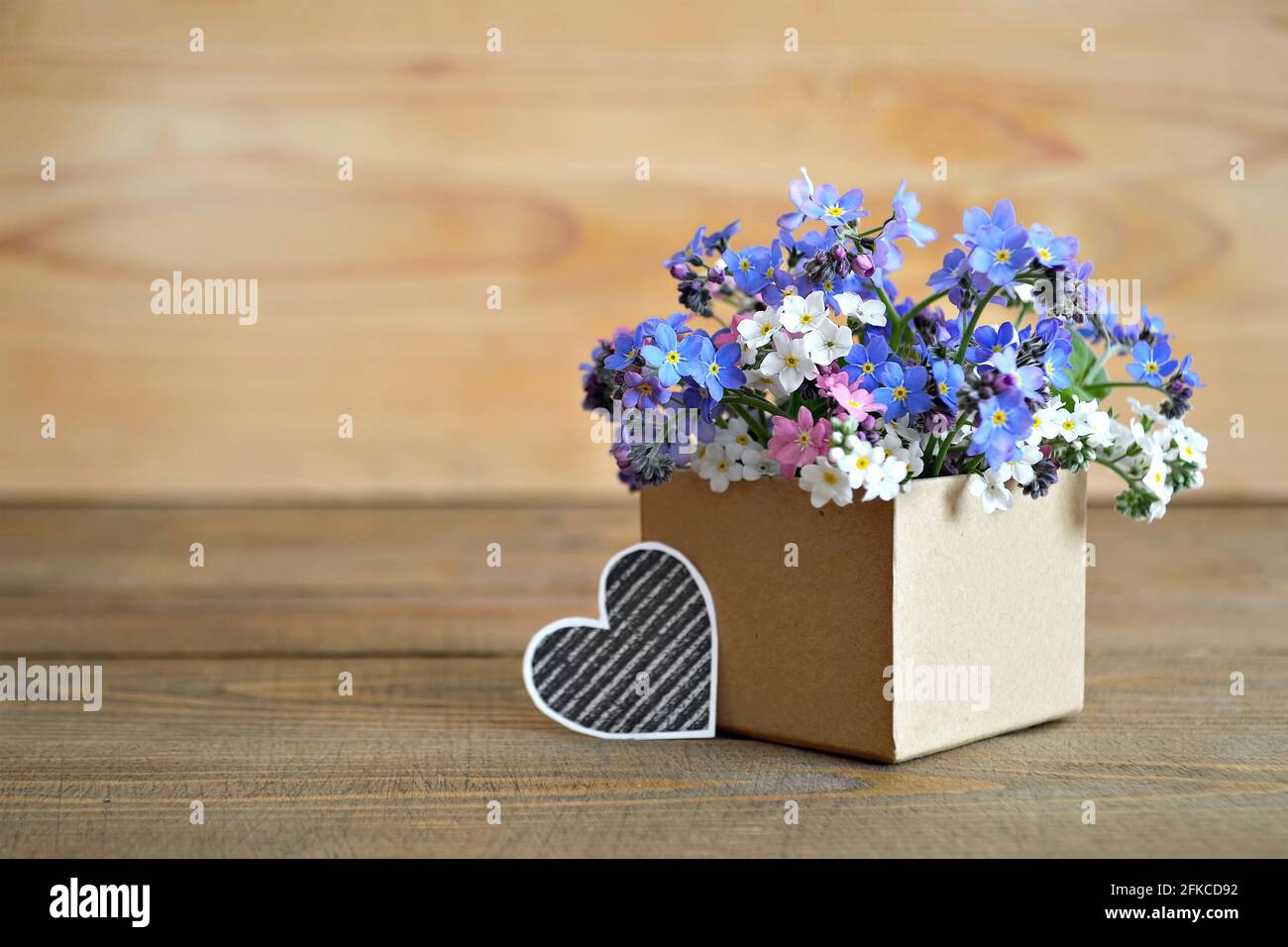 Vatertagskarte. Vergiss mich nicht Blumen in Geschenkbox auf Holzhintergrund mit Kopierraum angeordnet Stockfoto