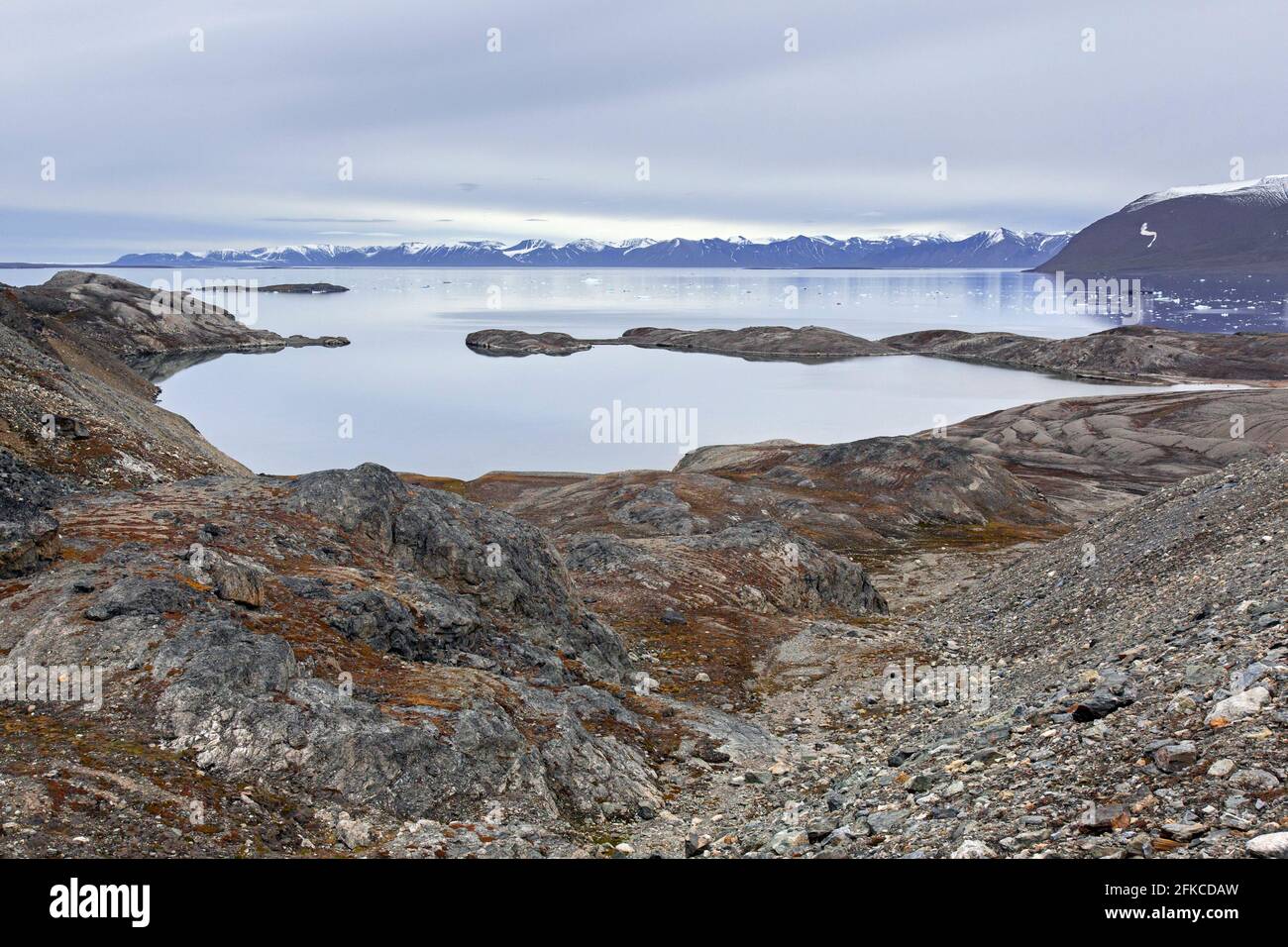 Blick über Hornbaekpollen / Hornbækpollen, kleine Bucht bei Liefdefjorden, östlich von Erikbreen, Haakon VII Land im Sommer, Spitzbergen, Svalbard, Norwegen Stockfoto