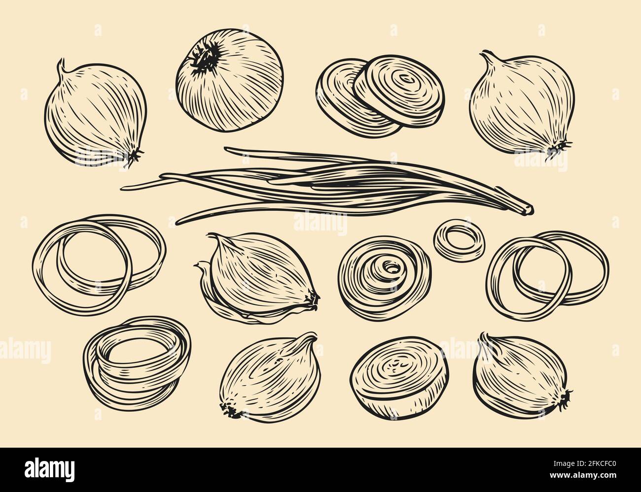 Zwiebelbirne und Ringe Skizze. Handgezeichnete Vektorgrafik für frisches Gemüse Stock Vektor