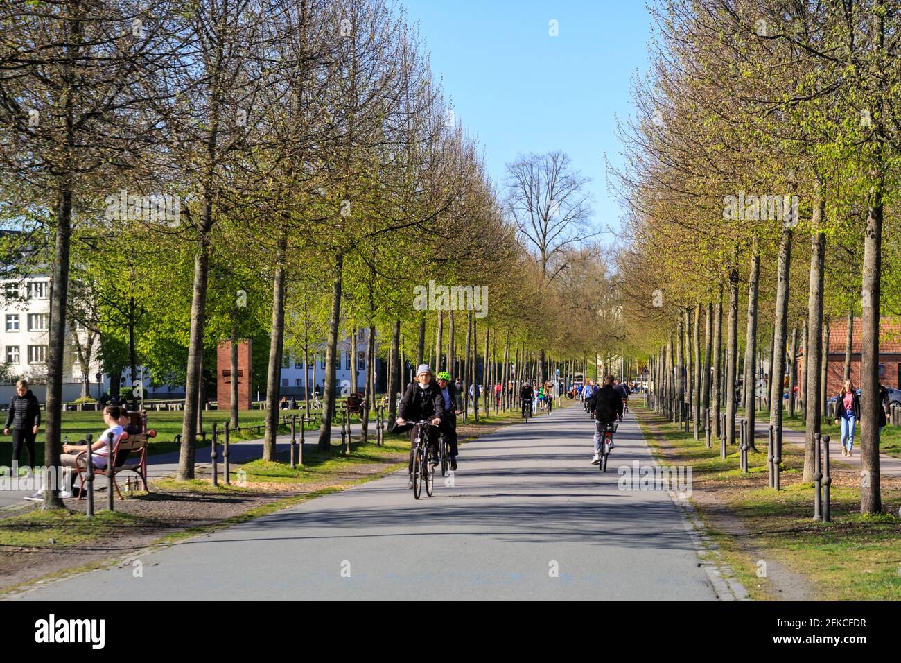 Radfahrer auf einem eigens dafür vorgesehenen städtischen Radweg in Münster, Münster, Deutschland Stockfoto
