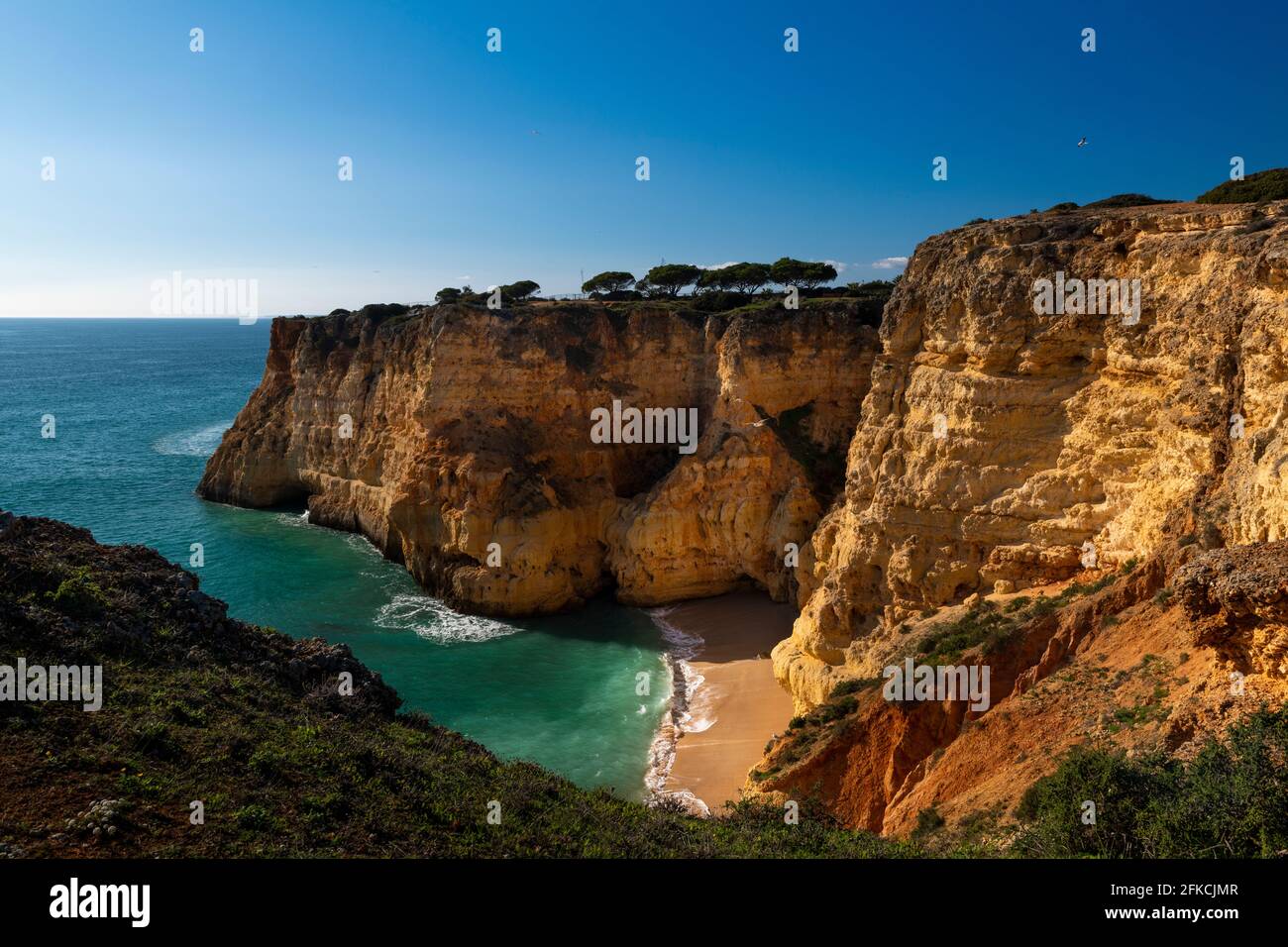 Blick auf einen kleinen, abgeschiedenen Strand, der von Klippen umgeben ist, an der Algarve, Portugal Stockfoto