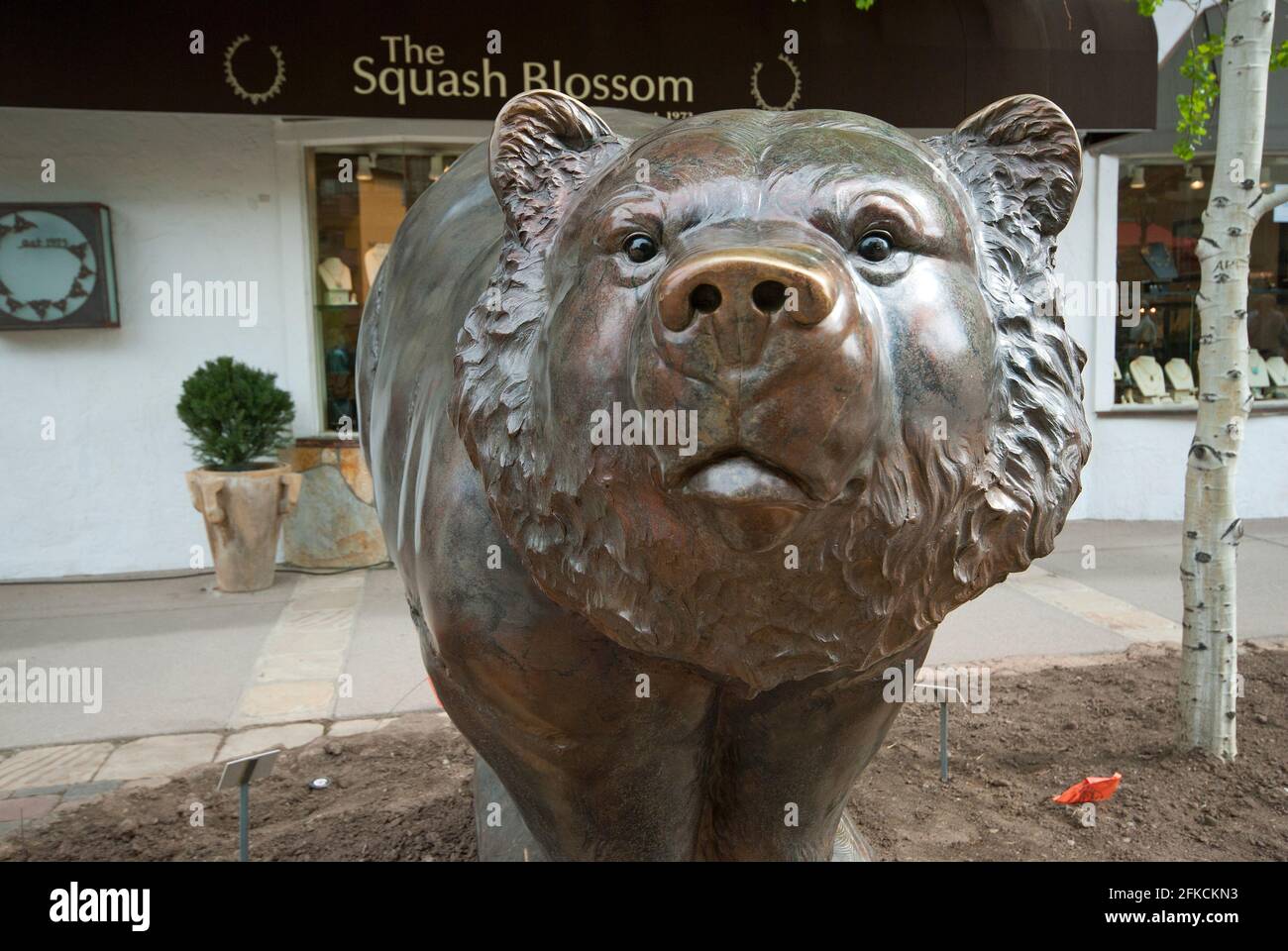 Bronzeskulptur des Bären in Vail, Eagle County, Colorado Stockfoto