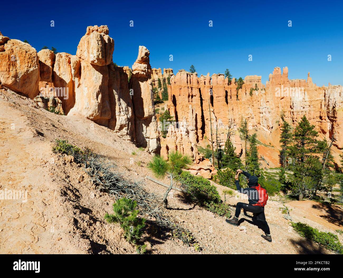 Wanderer, der ein Foto im Bryce National Park, Utah, USA, macht. Stockfoto