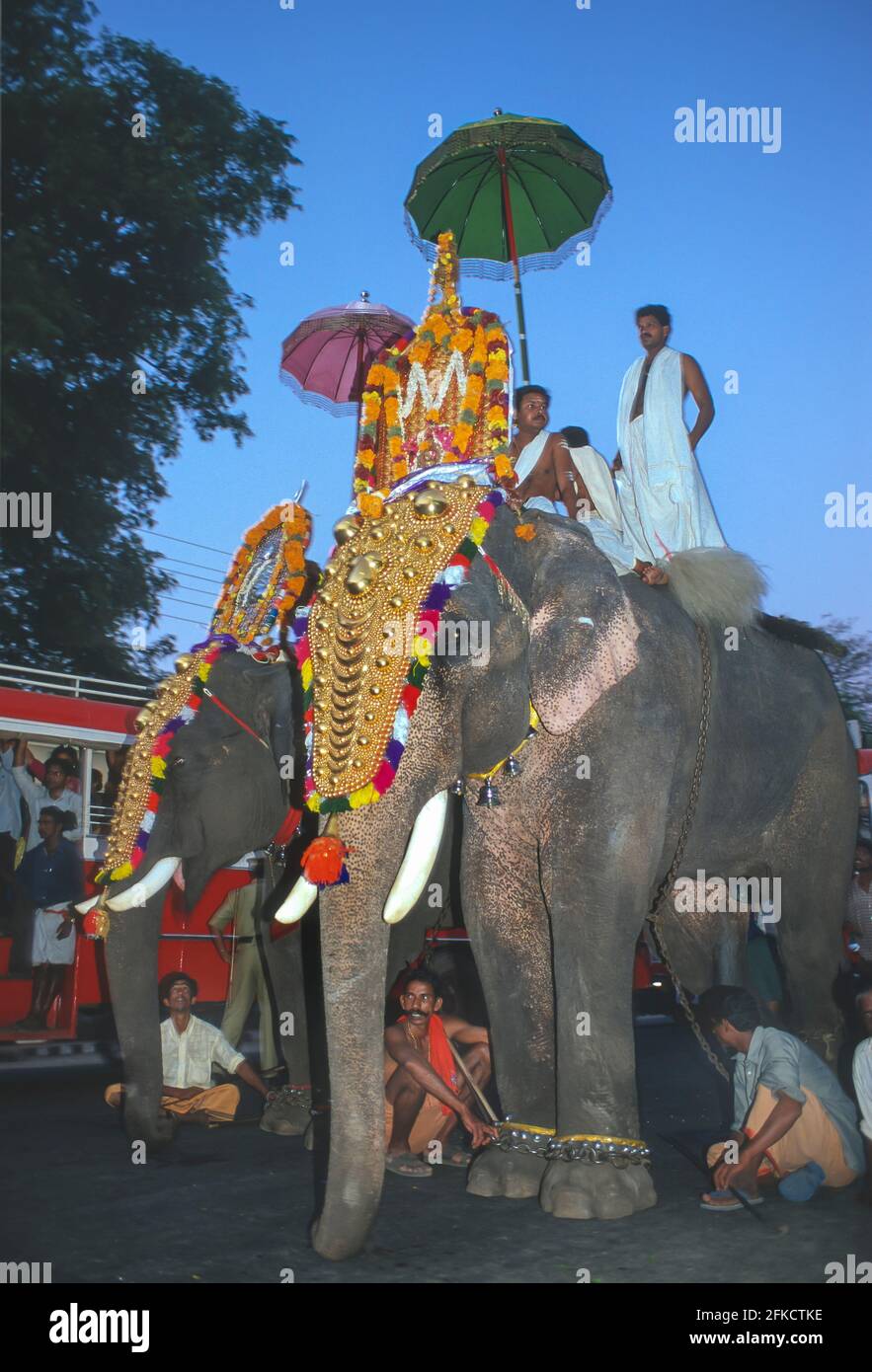 COCHIN, KERALA, INDIEN - hinduistische religiöse Prozession mit vergoldeten Elefanten auf den Straßen von Cochin, Ernakulam Bezirk. Stockfoto