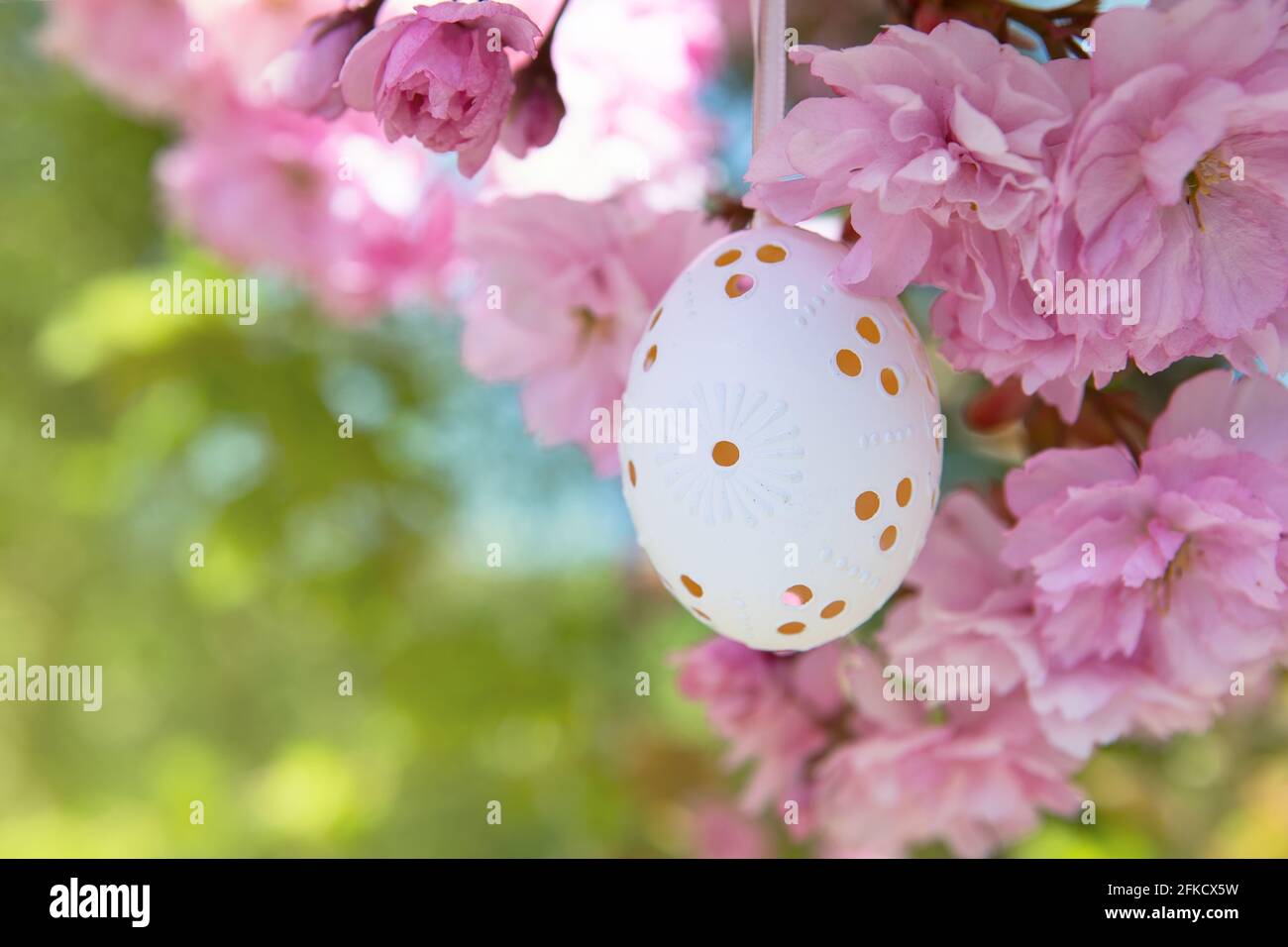 Dekoratives Osterei, das an blühenden Kirschbäumen mit rosa Blüten hängt. Osterhintergrund. Blüht an einem sonnigen Frühlingstag. Selektiver Fokus Stockfoto