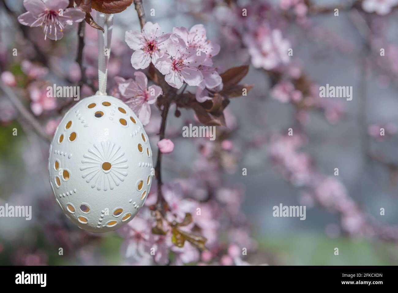 Dekoratives Osterei, das an blühenden Kirschbäumen mit rosa Blüten hängt. Osterhintergrund. Blüht an einem sonnigen Frühlingstag. Selektiver Fokus Stockfoto