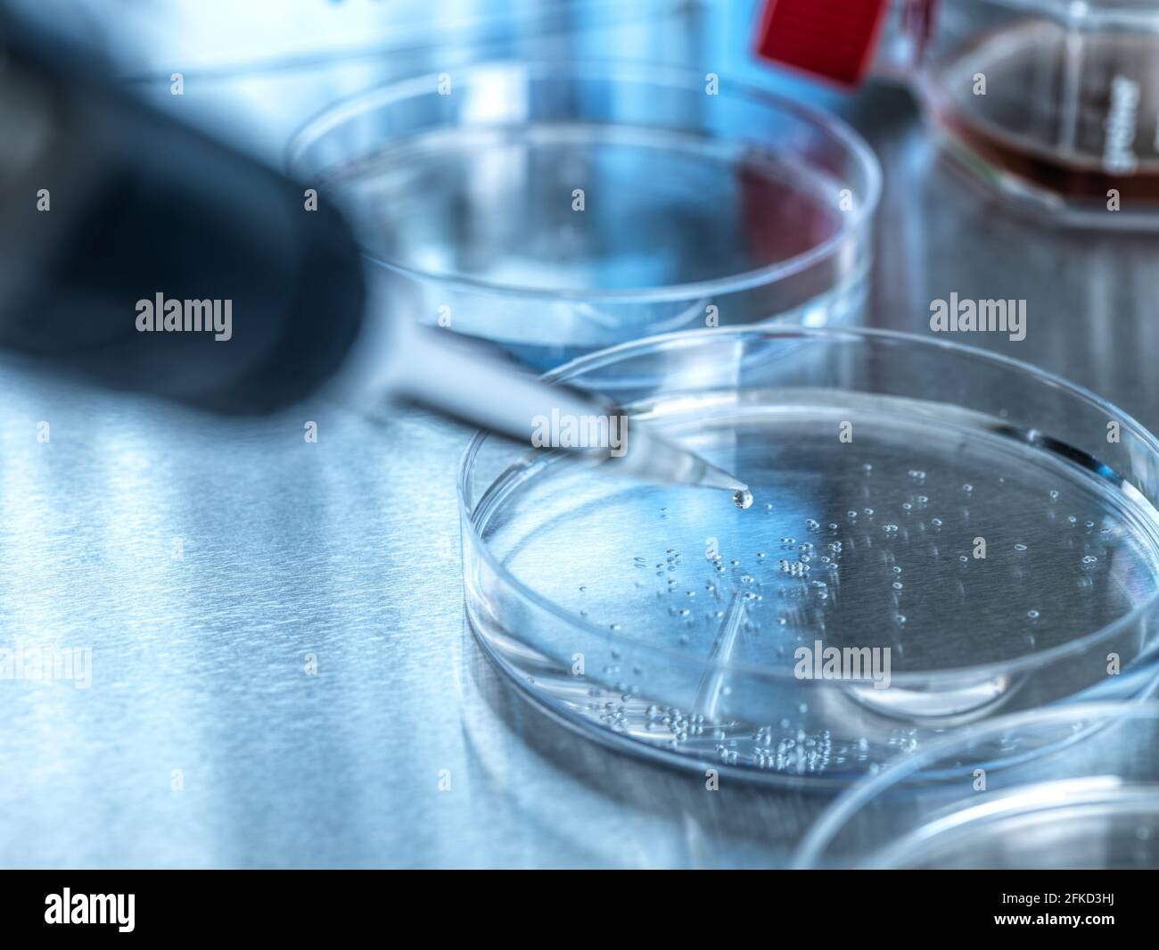 Großbritannien, Buckinghamshire, High Wycombe, Petrischale und Pipette im Labor Stockfoto